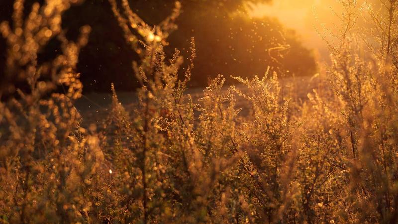 The 3 AM Scroll: What Is Actually Live at the Weirdest Hours